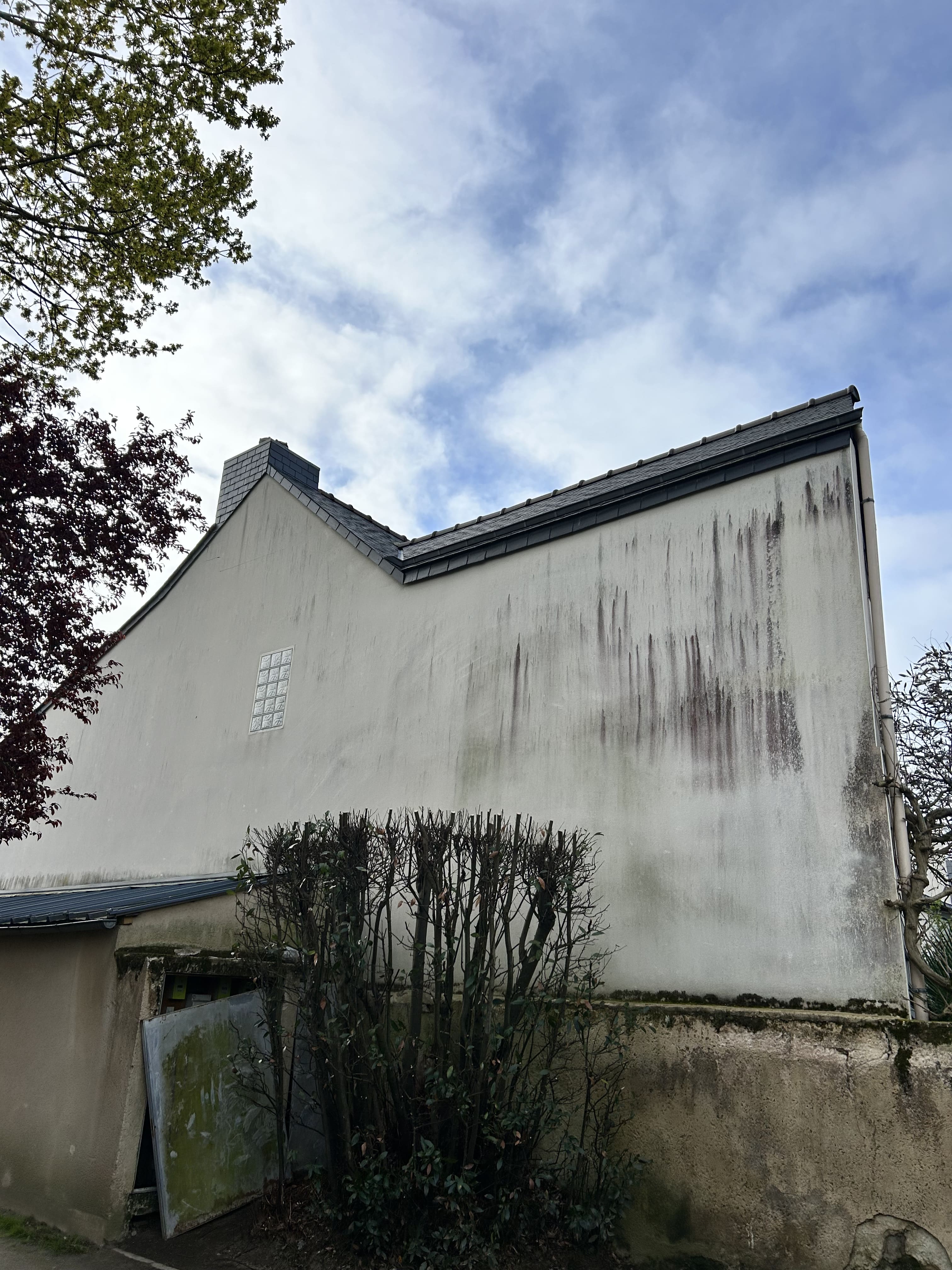Avant nettoyage façade — mousse algues vert-de-gris mur Rennes MD Toiture