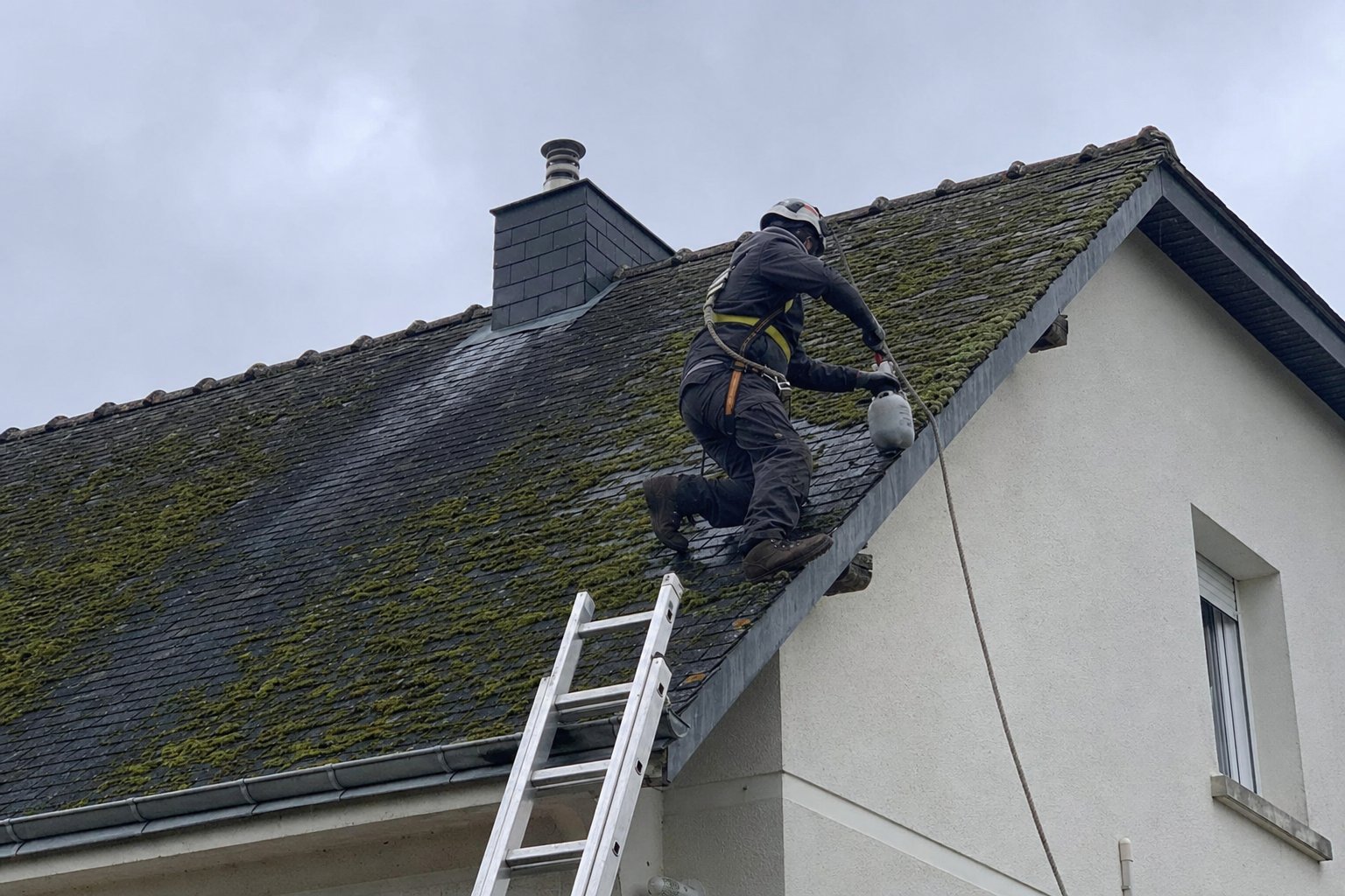 Démousser sa toiture soi-même sur une échelle à Rennes — risques et précautions